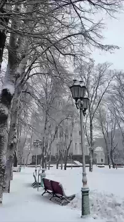 ��� ������ ��� �������