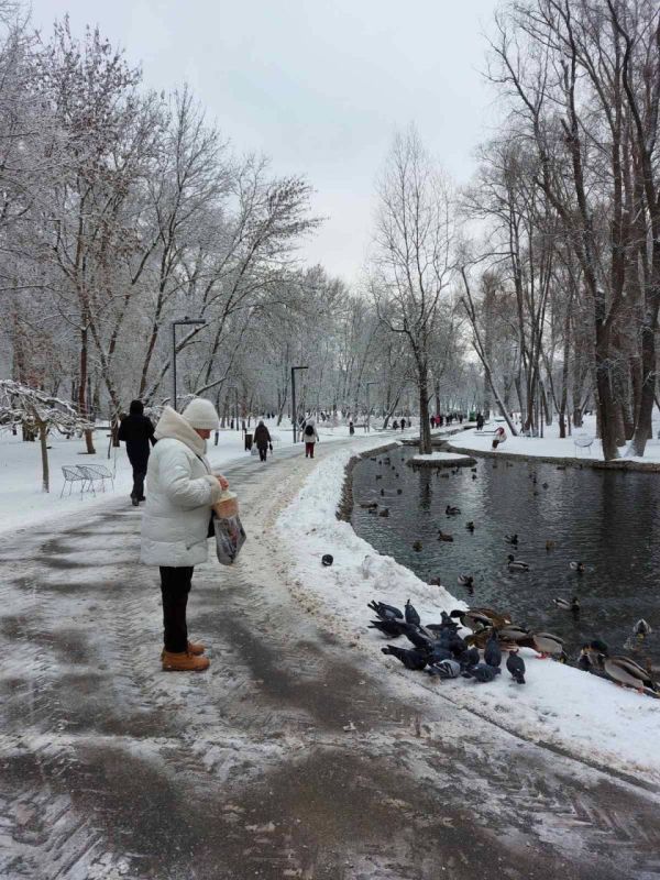 ��������.. �������. ������ ��