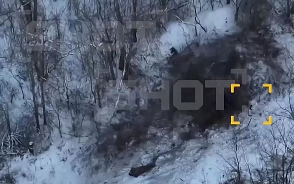 ���� �� �� � �������� ������������ �������� �������� ���, ������� ���������� � �������� �������� ���� ������