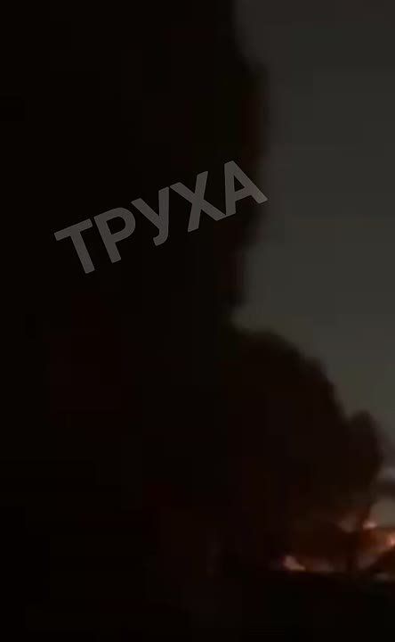 :    . ,   