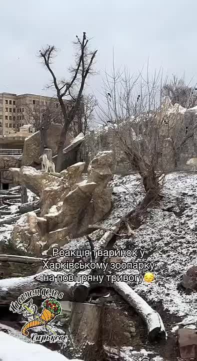 ������� �������� � ����������� �������� �� ��������� �������