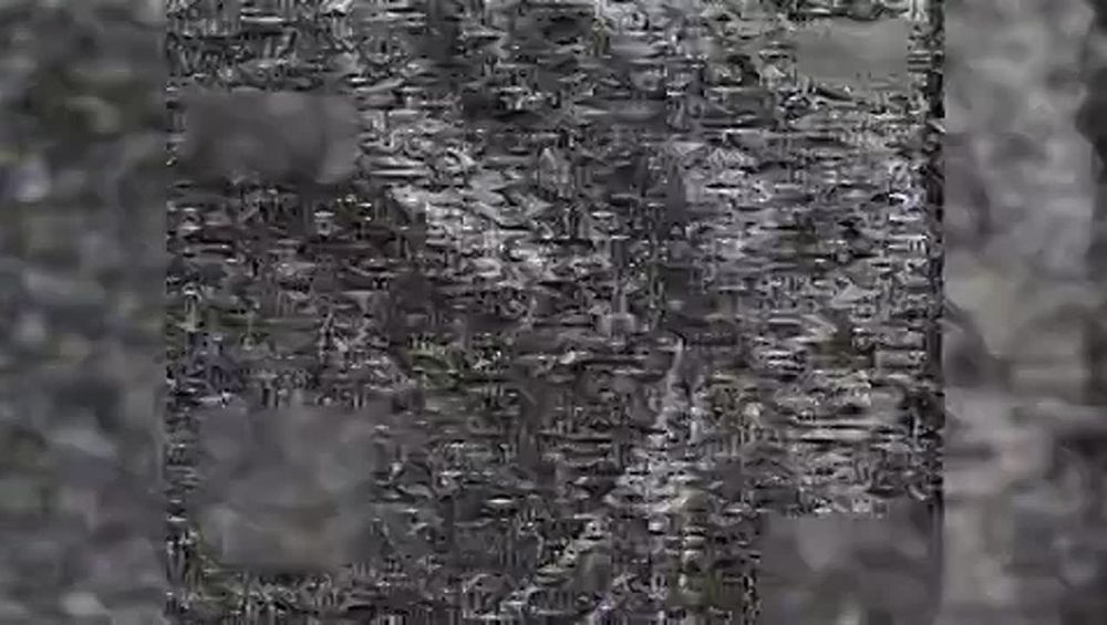 22.02.25 Работает «Рубикон»