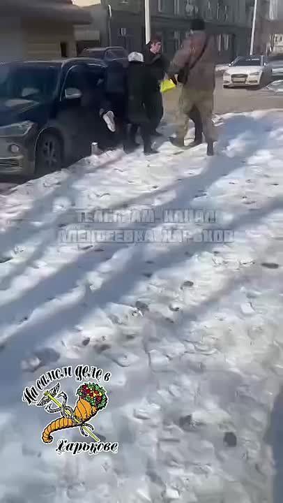 ��������� ������ �������� �������� �������� "�������"