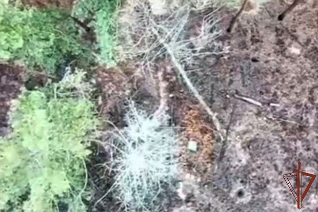 � ����������� ������� ���������� ���������� ������� Starlink ���