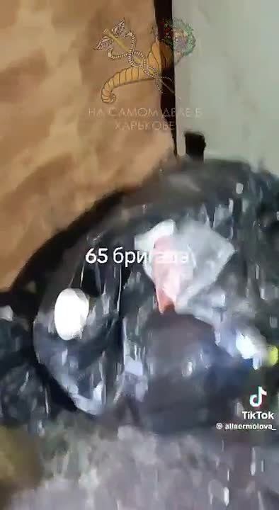 "����� �����" �� 65 ���� ����� ���� ������ � ������������ ����������