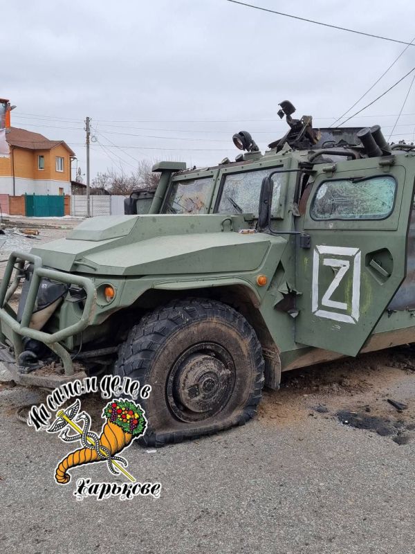 ������� ������ ����� ��� ��������?