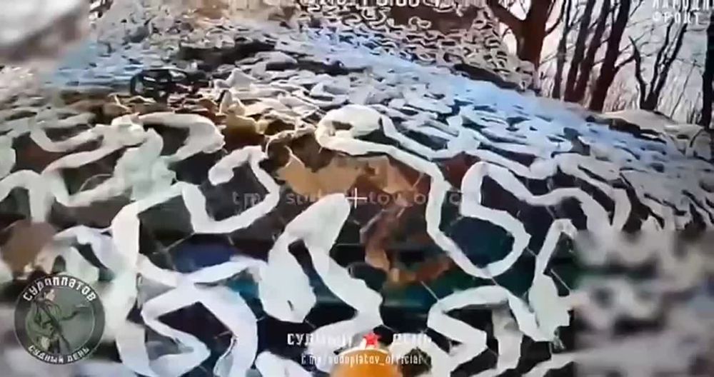 ��� ���� �������� �����, ������������ ��� ���������� ������� � ��� � ������ ������� ����, � ��� ����� �������