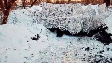 FPV-        