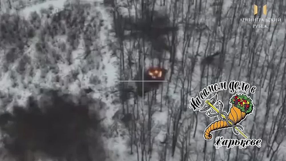 ����������� ����������� ������� ���