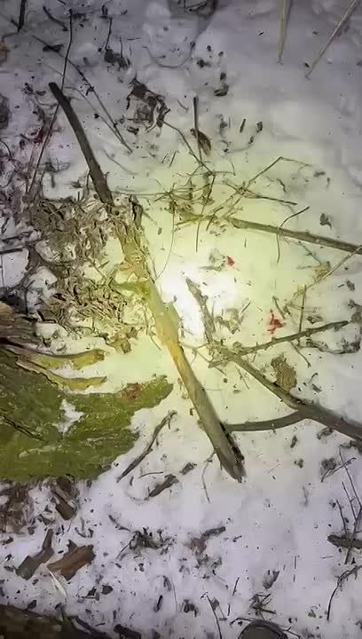 ����� ����� � �������� ������ ������� �����������