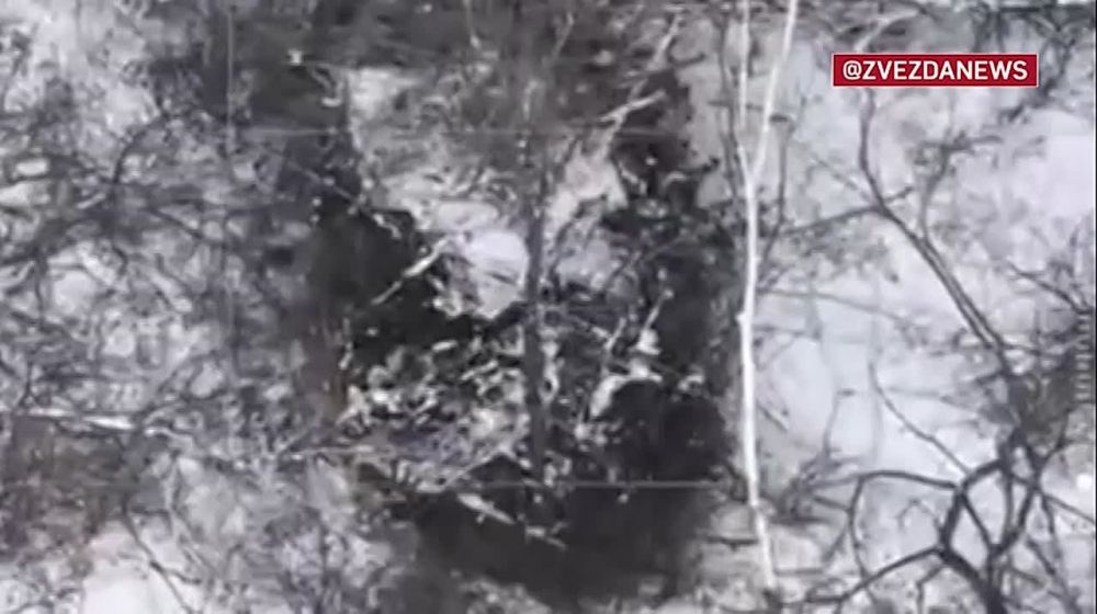 ����� � �������� ��������� ������� ��� ����