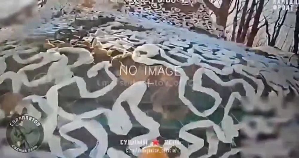 ��������� ������ ����, ��� ��������� �� ����������� ����� �� �� ����