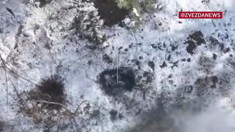 �������� �� � ����: �������� ����� Starlink ����� ���������� ����� � ���� � ����������� �������