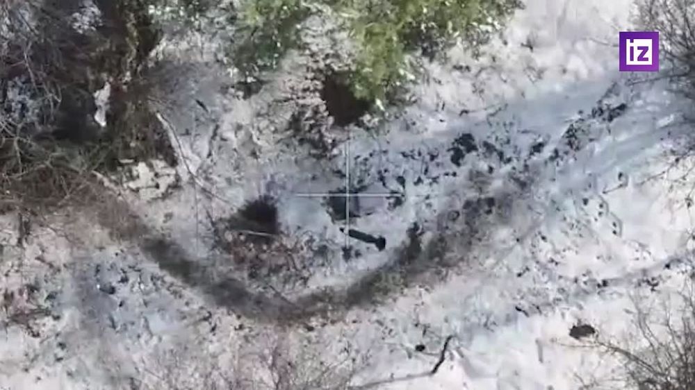 � ����������� ������� �������� ������� ����� ����������� ����� "�����" ��������� ����������� �������� ����� Starlink ���, �������� ���������� ��