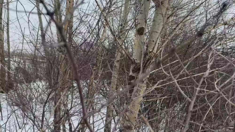 ����������� ������������� ��������.�� Ը��� ������ �� ���� �������, ��� ������ ���������� ������������ ������ ������� ����������� �������