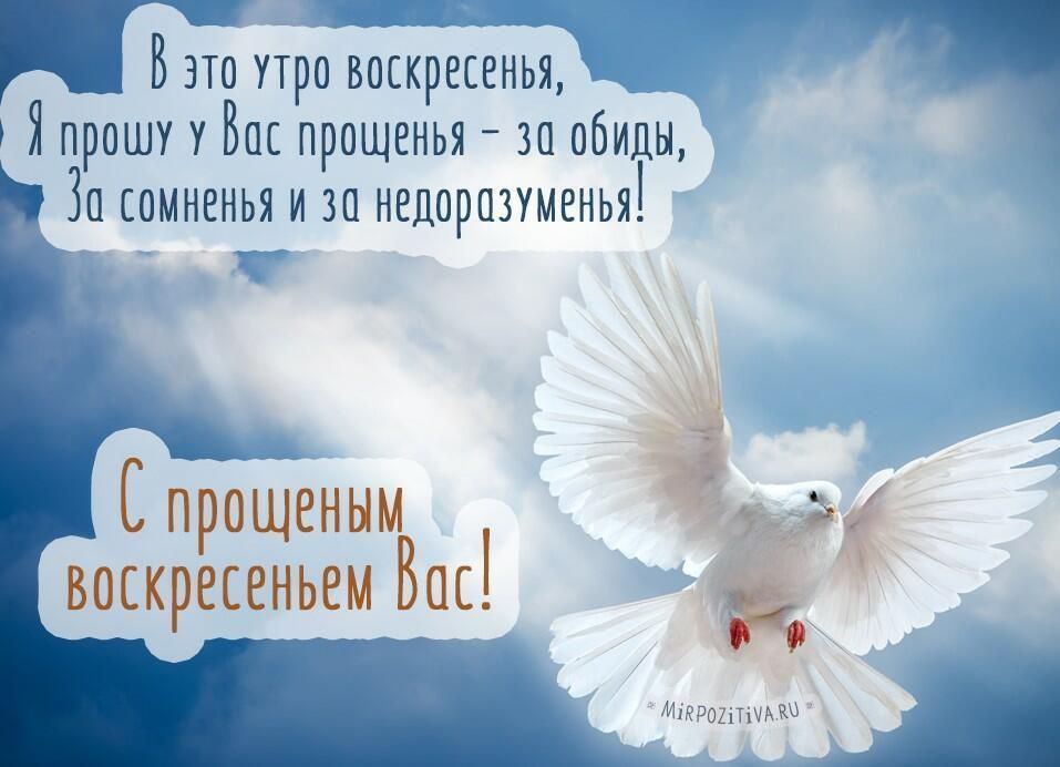 �������� ���, ������������!