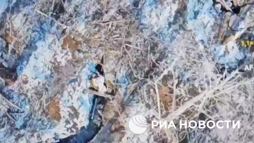 ������ ��� ��������� �������� �� �������� ��� ���������� ����� � ���������� �� ��������� ������� ������: �� ������� ������� ��� ������ �������� �������� �������� ��� ��������� ��������������� �����������, ��������� ��������...