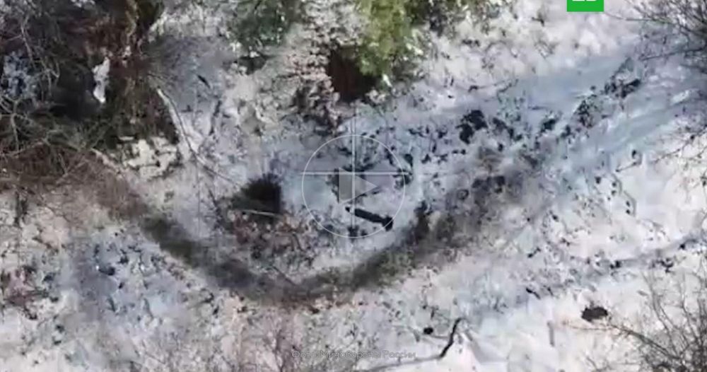 �� �� ���������� �������� ����� Starlink � ����������� �������