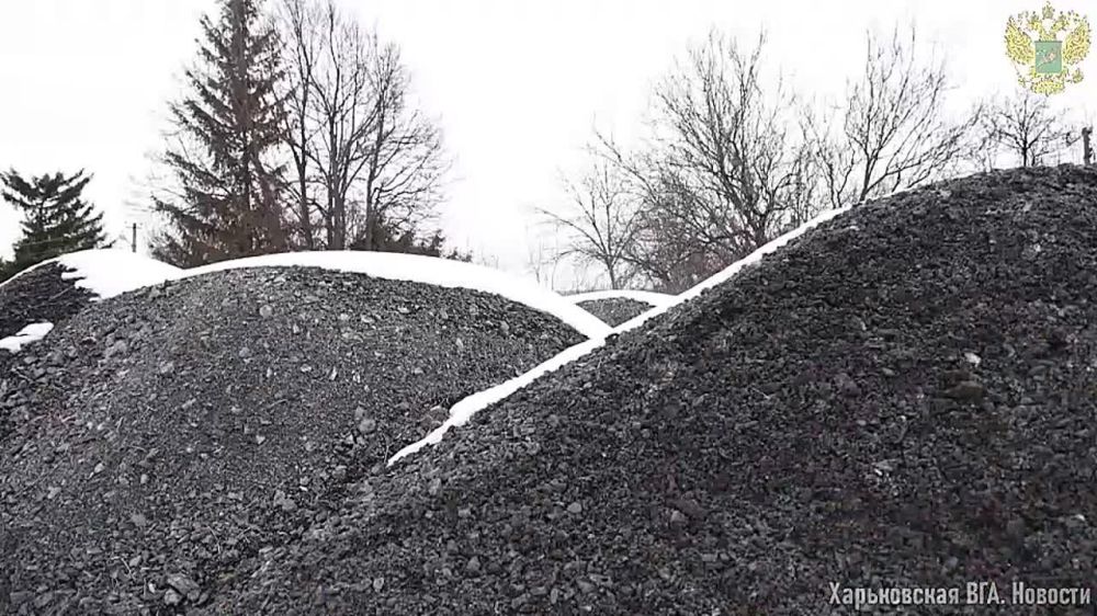 ������ ������ ������� ���� ������ ������ �����