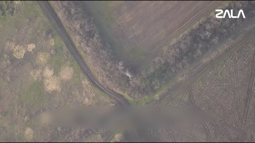 ���������� ���������-�Ļ �� ����������� � ���������� ZALA �������