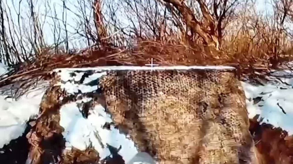 ������ FPV-����� �� ����������� ��������� ���������� ��� � ����������� �������, �������� � ���������� ������