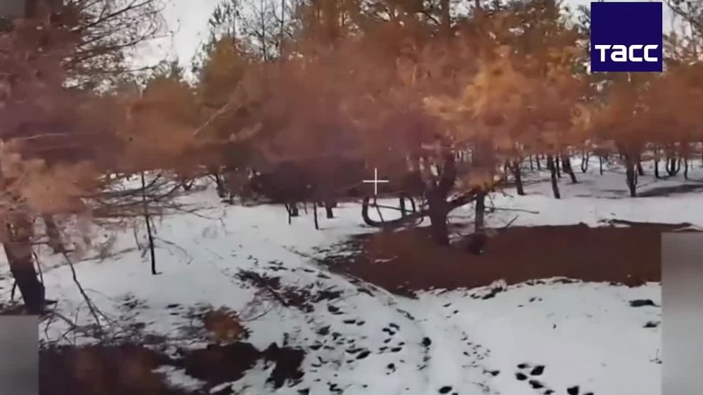 ���� ��� �-64 ��������� � ���� ������������ � ����������� ������� �������� FPV-����� �� ����������� �������� ����������� �����