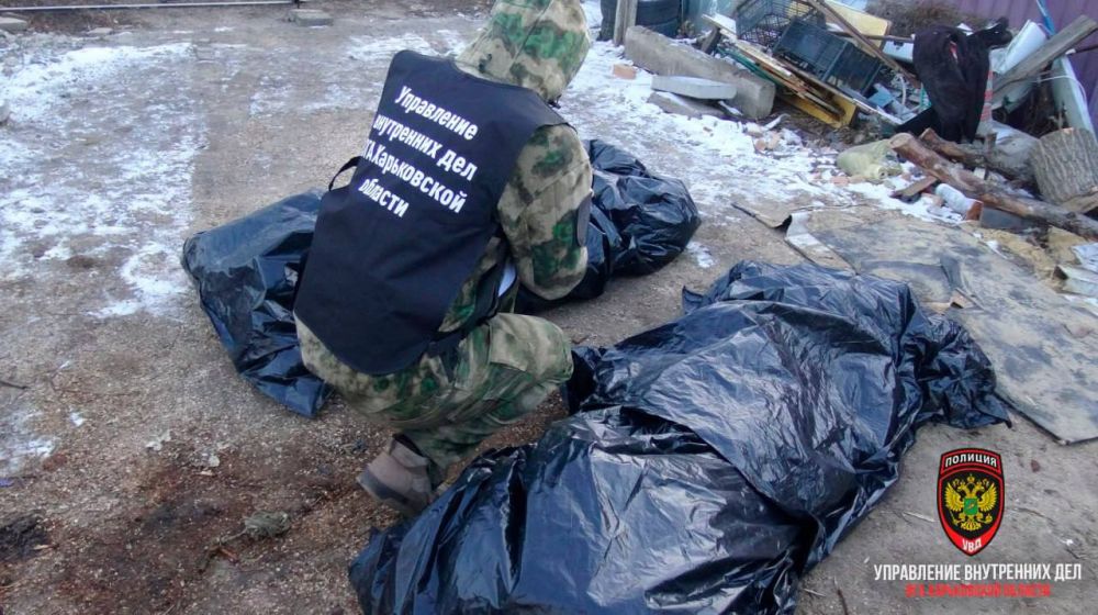 ������ ��������: ������������ ���� �������������� ������� ����������� ��������� ������������ ��������� � �-�� ���������� � ����������� �������