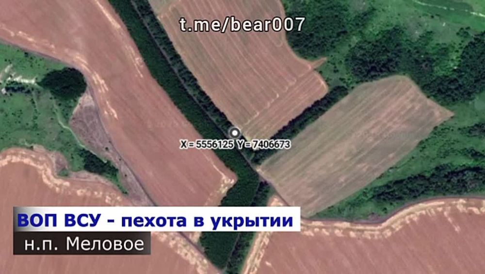 ����� ����������� ���������� �������� � ����������� �������