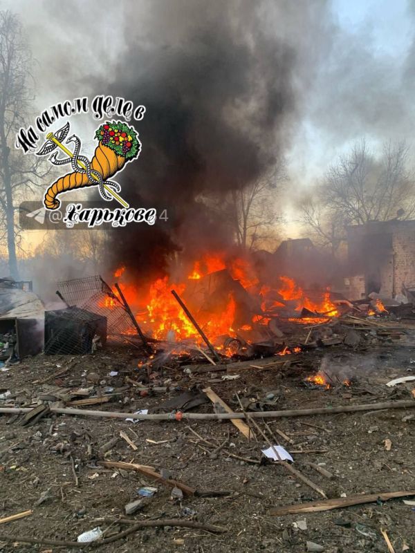 ��� ���� � �����. ����������� ��� ���