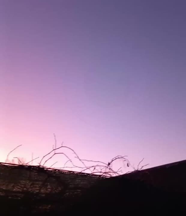 ����� ������� �������� ������ ��� ����������� �������� ��������� ������� ������