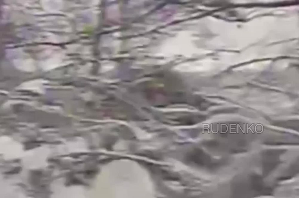  :       FPV-          