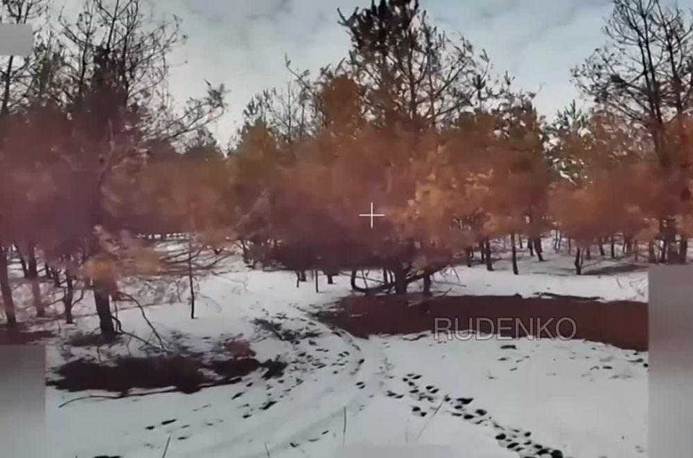  :      -64   FPV-            