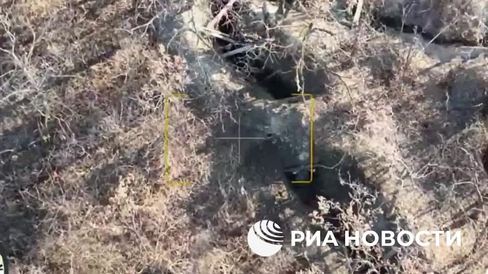 ���� ���������� ������������� ������� � ���� ������ ����������� ����� "�����" � ����������� �������, �������� ��� ������� � ���������� ������� ����������