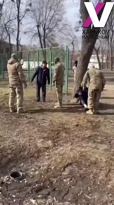 ХАРЬКОВЧАН КАК ДИКИХ ЖИВОТНЫХ ЗАГОНЯЕТ ТЦК
