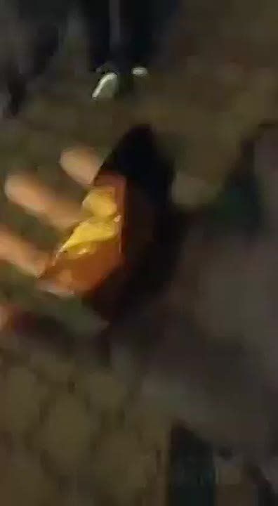 ������� 2021 ����, �������