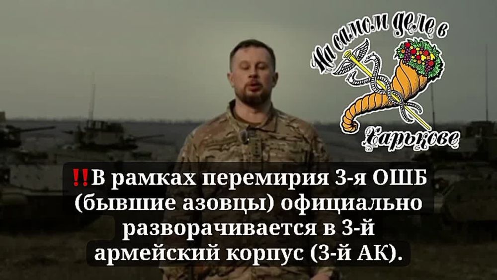 Реформа ВСУ. На фоне новостей о переговорах и прочих событиях в СМИ почти не уделяют внимания тому, что происходит в ВСУ. А именно — реформе их структуры