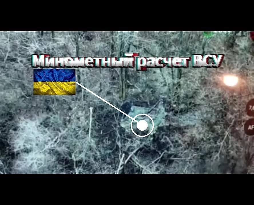 ������ ��� 41 ��� 72 ��� ����� � ��������!