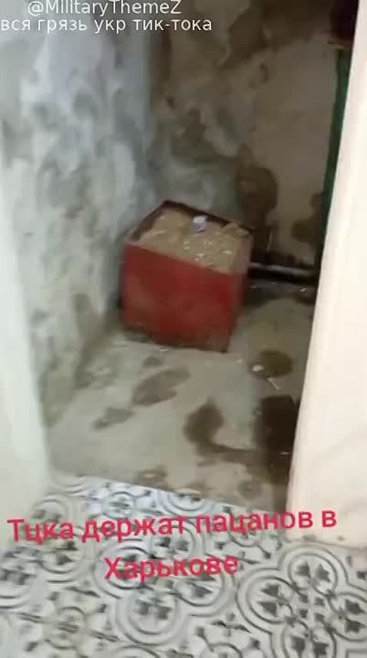 �������. �������� �������������� �� ������ ���������� � ����� ��������, ������ ������� �� ������ ����������� ����, ��� �� ��������� �� ������ "����"