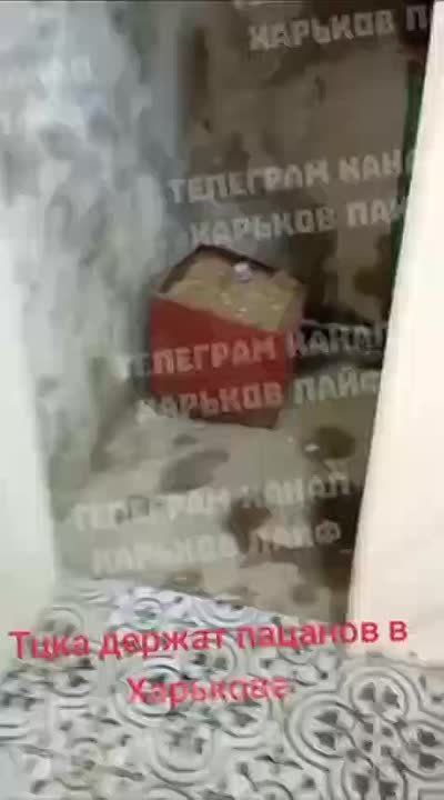 ����������� ������� ����������� ��������� ���������� ���������������� ������