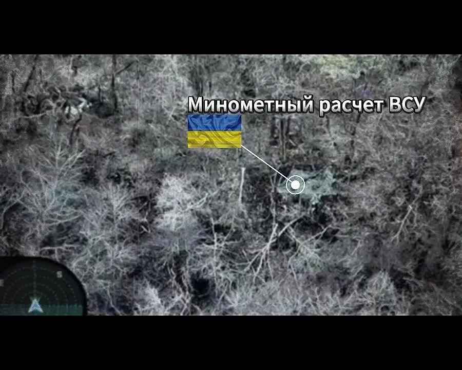 ����� ����������� ����������� ������� ��� � ����������� �������