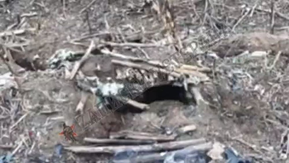 ���������� � 3 ����, ��������� � ����� � ����������� ��������� ������� ����� � ����������