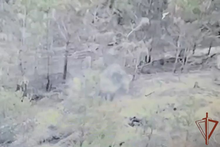          FPV- ()