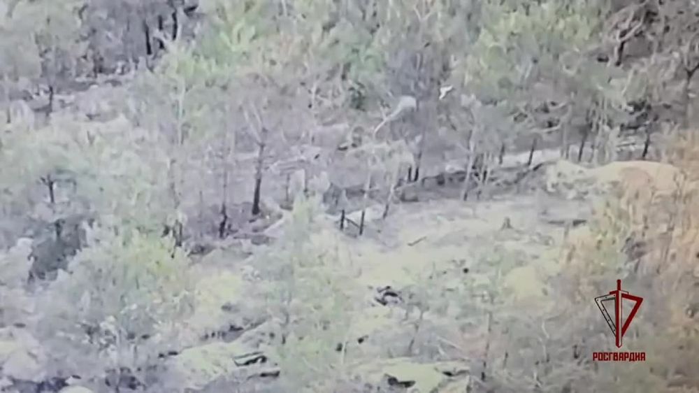          FPV-