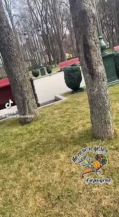 ���� ��� ������ � ���� ��������, �������� � ����� �������� ��� �������