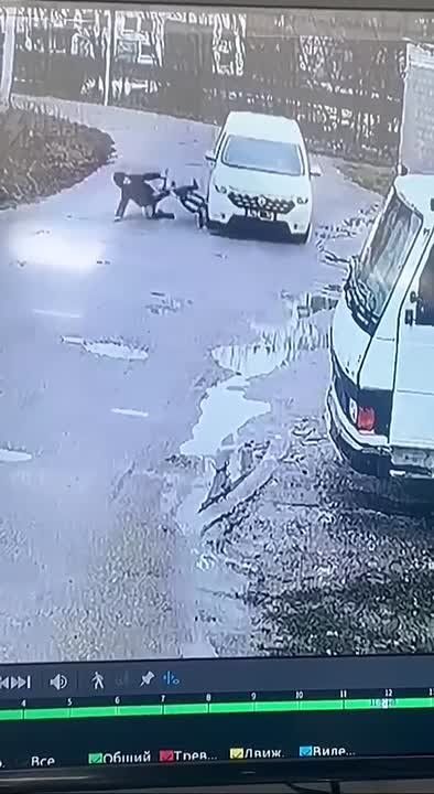 В Харькове людоловы сбивают проезжающего мимо велосипедиста в попытке его бусифицировать