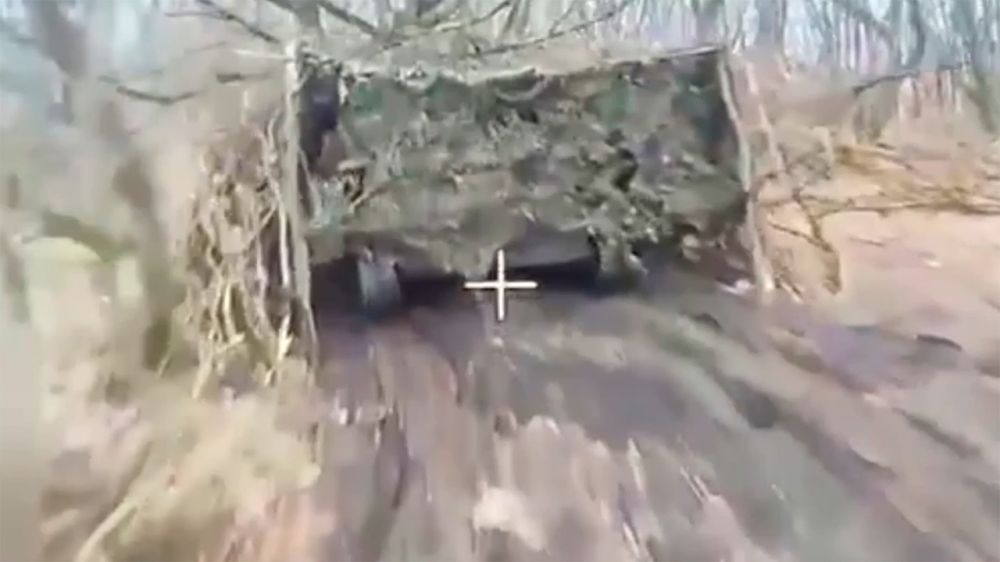FPV-  113      