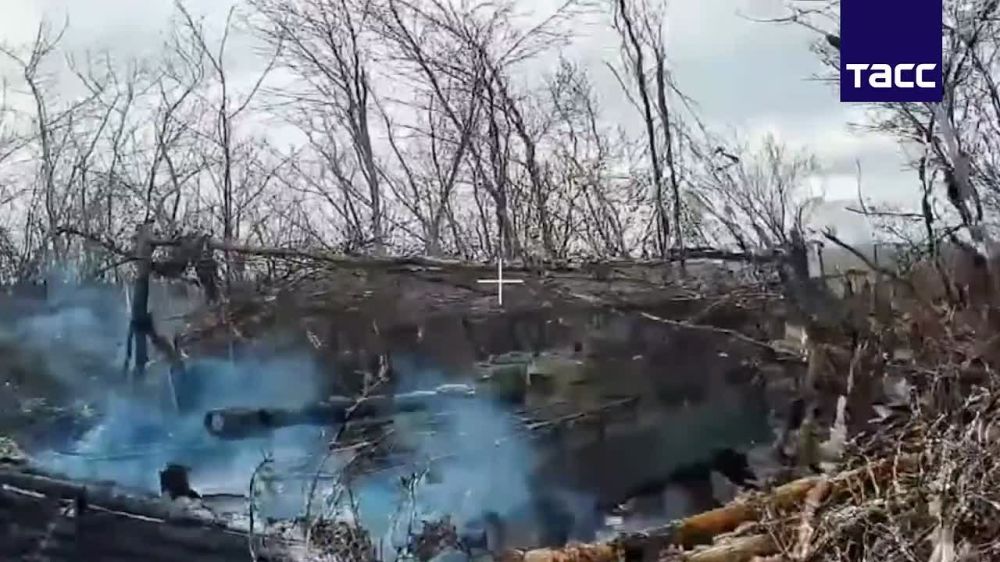 ����� ����������� ����������������� �113 � ��� "��������" ��� � ����������� �������