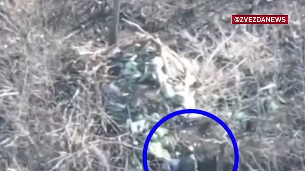 ��� � � ��� ���������: ���� ������������ ���������� ���������� ������ ����� � ����������� ������� ��������� ���������� � ������� �������