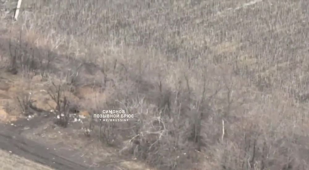 Сбили с ног – сражайся на коленях, встать не можешь – лежа наступай