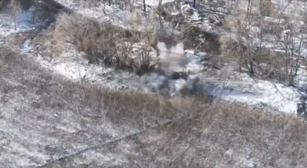 ������� ��������: ����� ������� ���� "������ �����" ��������� �����������